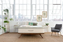 Avocado Green Hybrid Pillow Top Mattress 13"