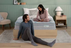 BeautySleep Dream Weaver Ultra Plush Pillow Top Mattress 14.25"