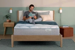 BeautySleep Dream Weaver Plush Tight Top Mattress 13.75