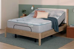 BeautySleep Dream Weaver Plush Tight Top Mattress 13.75