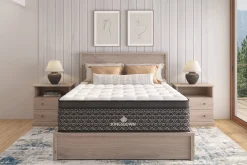Kingsdown Gingerwood Plush Euro-Top Mattress 15