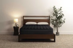 Mancini's Sleepworld Onyx Firm Mattress 13"