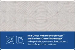 Sealy Posturepedic Truett Soft Mattress 12.5