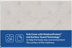 Sealy Posturepedic Truett Soft Pillowtop Mattress 14