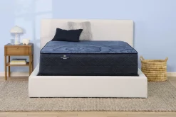 Serta Perfect Sleeper English Ivy Plush Mattress 14"