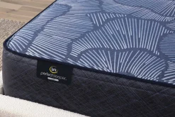 Serta Perfect Sleeper English Ivy Firm Mattress 14