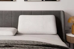 Sleep Partner ZZZ Gentle Response Low Pillow