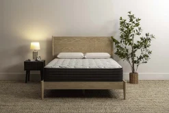 Sleepworld Express 11.5" Innerspring Medium Firm Mattress